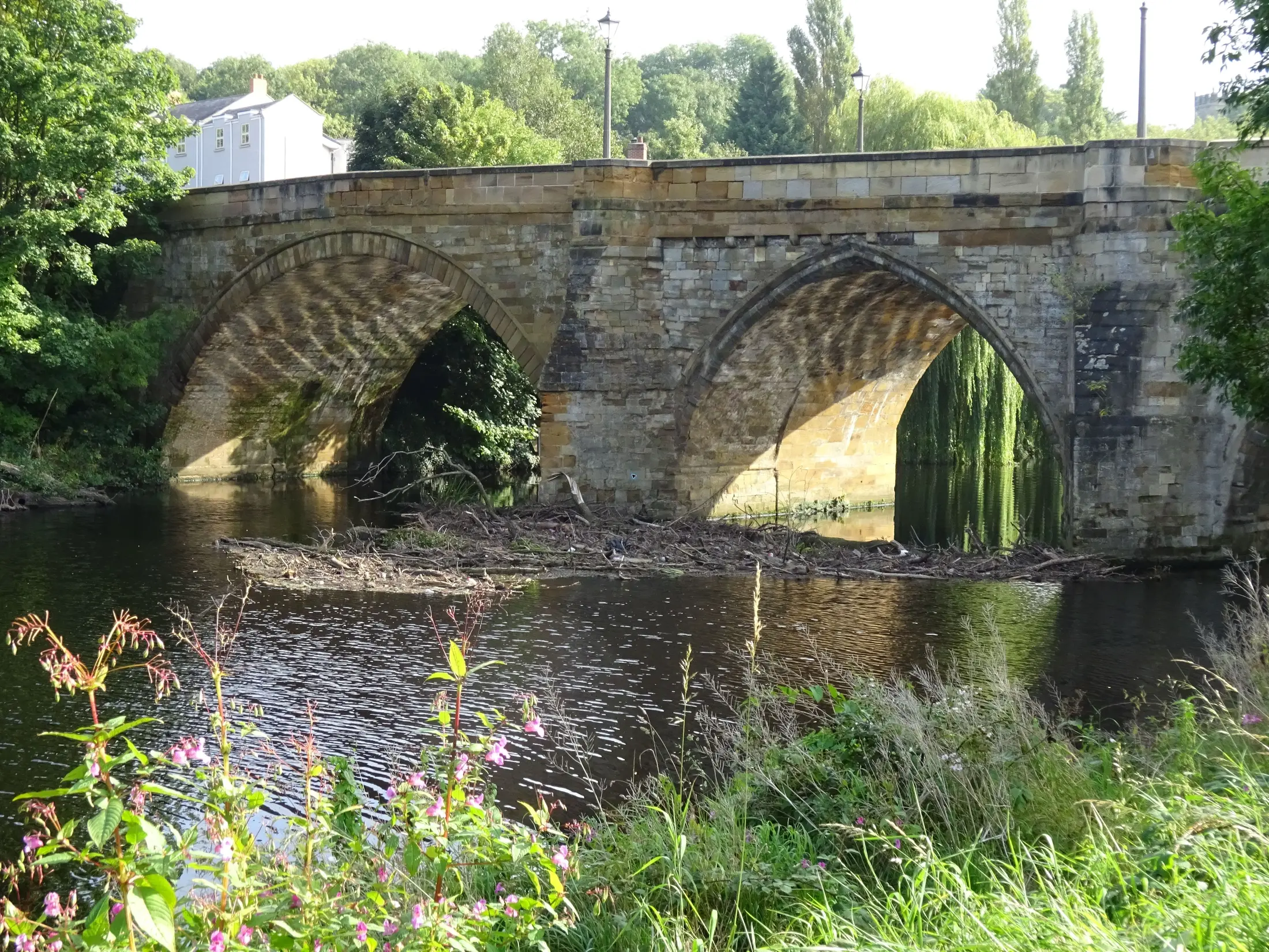 The medieval stone bridge over the River Tees at Yarm, framed by willows and wild flowers
